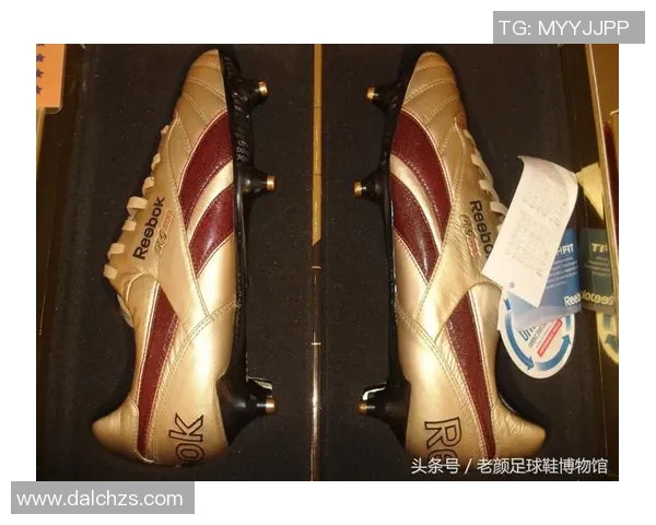 中国足球明星代言足球鞋市场分析与发展趋势探讨